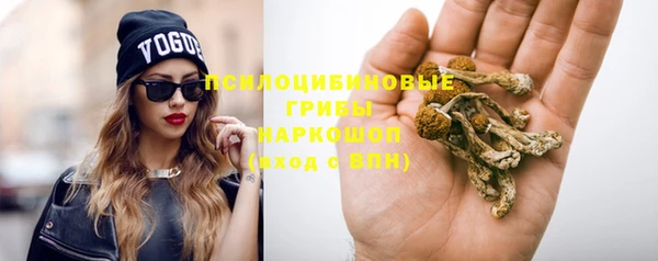 не бодяженный Аркадак
