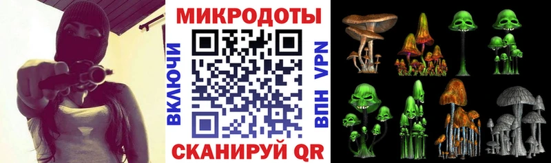 Галлюциногенные грибы Psilocybe  Ухта 